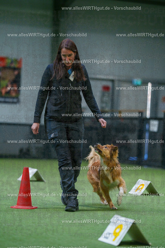 7R502970 | Professionelle Tierfotografie in Mönchengladbach von Daniel Wirth (allesWIRTHgut). Liebevolle & natürliche Bilder von Hunden & Katzen für unvergessliche Erinnerungen.