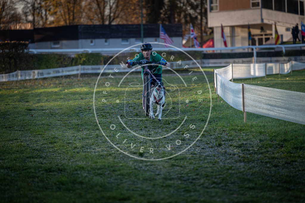 CaniXpix_0L8A1831 | Hundefotografie, Tierfotograf, Pfotenfotografie, Fotoshooting Hund, Hunde Portrait, Hundesport, Hundeportraits, Heideshooting, Hunde, Sportfotograf, Hundefotograf, Turnierhundsport, THS,  - Realisiert mit Pictrs.com