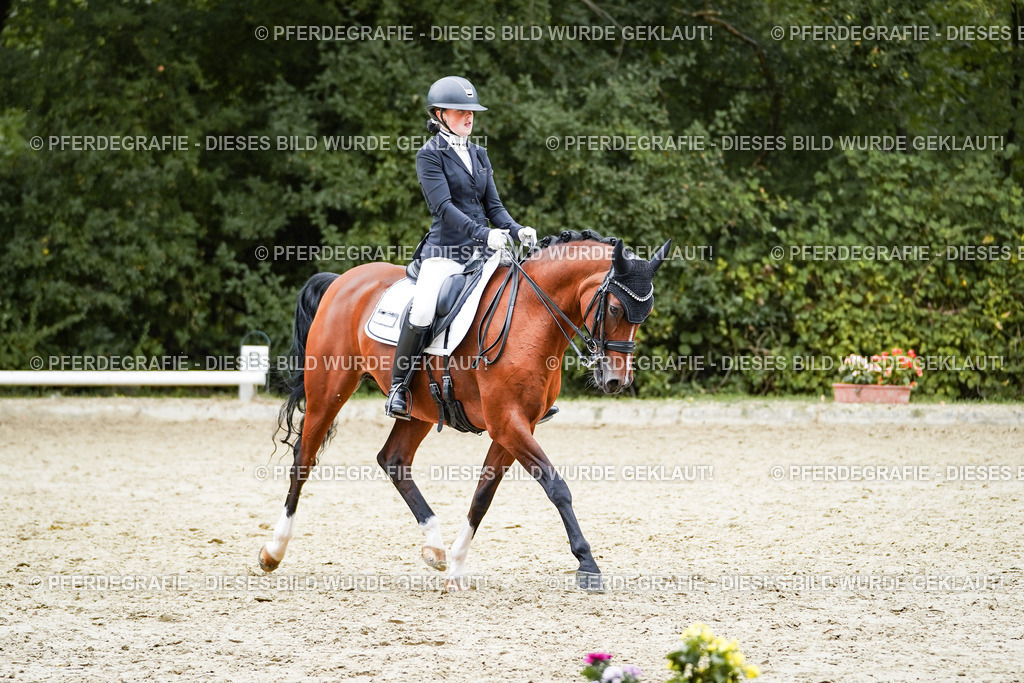 DSC01728 | Pferdegrafie