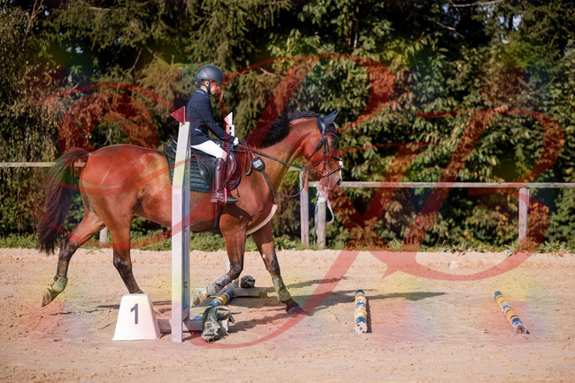 2026_10_03_Siefer-Hof_143734_Z81_06242701 | Professionelle Reitsport-, Turnier- und Eventfotografie von Robert Broda. Galerien mit ausgewählten und bearbeiteten Bildern direkt online ansehen und bestellen.