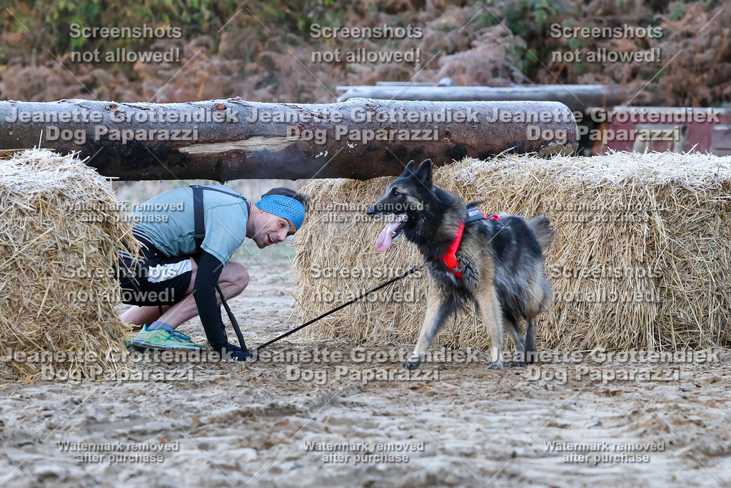 Dog Paparazzi - Strongdog 10-25-175 | Dog Paparazzi Jeanette Grottendiek Fotografie & Videografie - Realisiert mit Pictrs.com