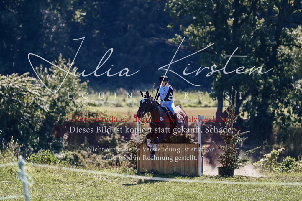 DSC_1823 | Pferde- und Turnierfotografie in Westsachsen. Pferdeportraits, Auftragszeichnungen und intuitive Kunst.