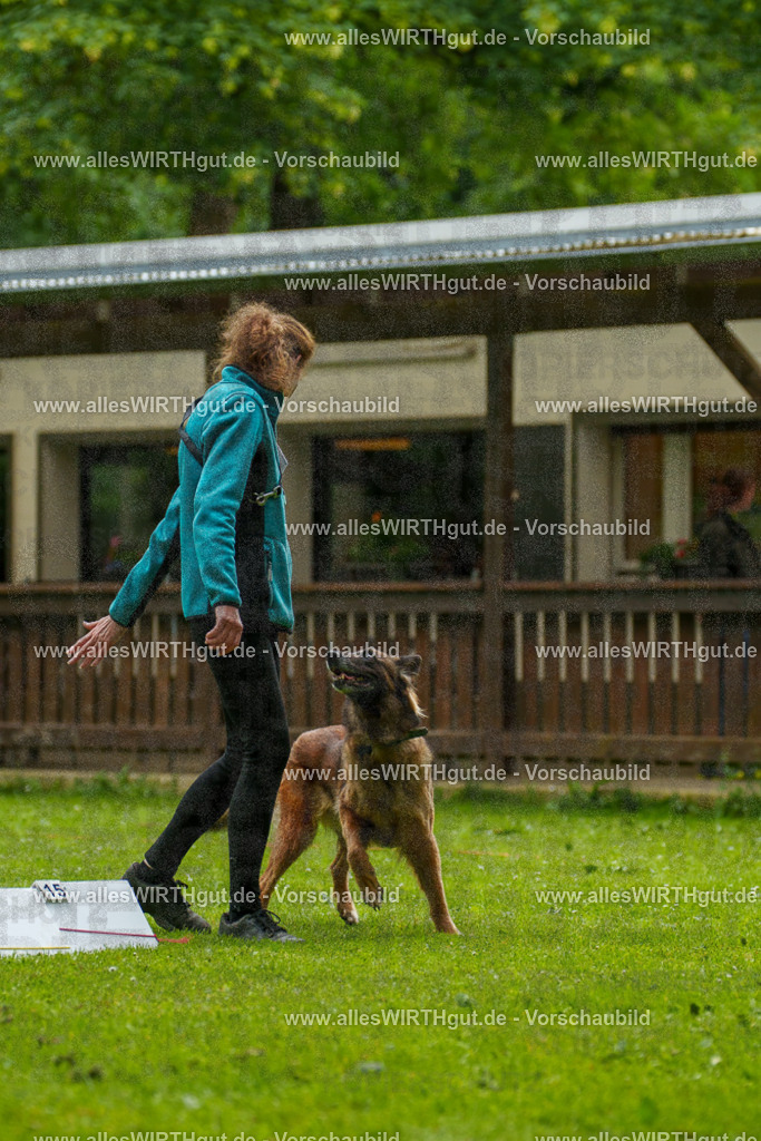 @allesWIRTHgut_Tierfotografie - www.allesWIRTHgut.de - 102152-7R508407 | Professionelle Tierfotografie in Mönchengladbach von Daniel Wirth (allesWIRTHgut). Liebevolle & natürliche Bilder von Hunden & Katzen für unvergessliche Erinnerungen.