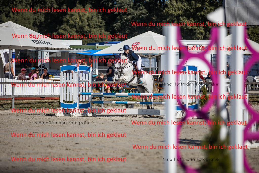 BK1A7210 | Turnierbilder Turnierfotos Nina Hüffmann Turnierfotografie Pferdefotografie Tierzeichnung Haustierzeichnung Pferdezeichnung Hundezeichnung Videograf  - Realisiert mit Pictrs.com
