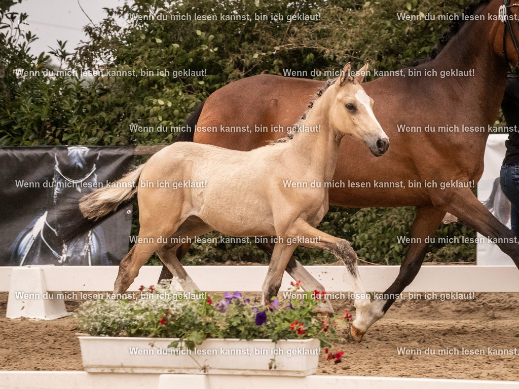 A10I3113 15.56.14 | photographylinaismer - Realisiert mit Pictrs.com
