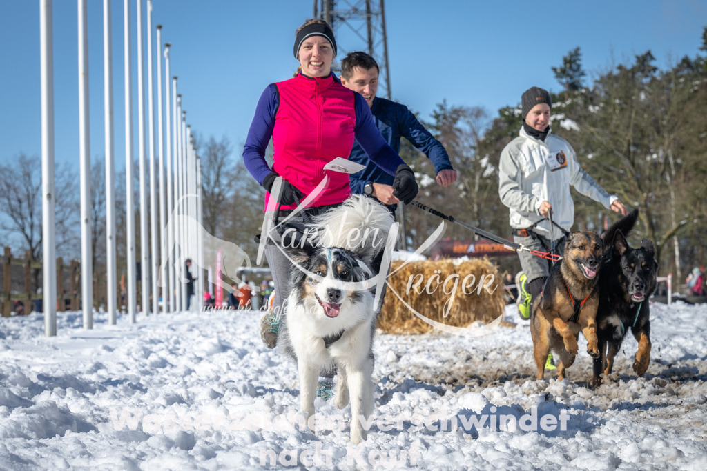 1130_ZZ92422-3 | kk-dogfotos