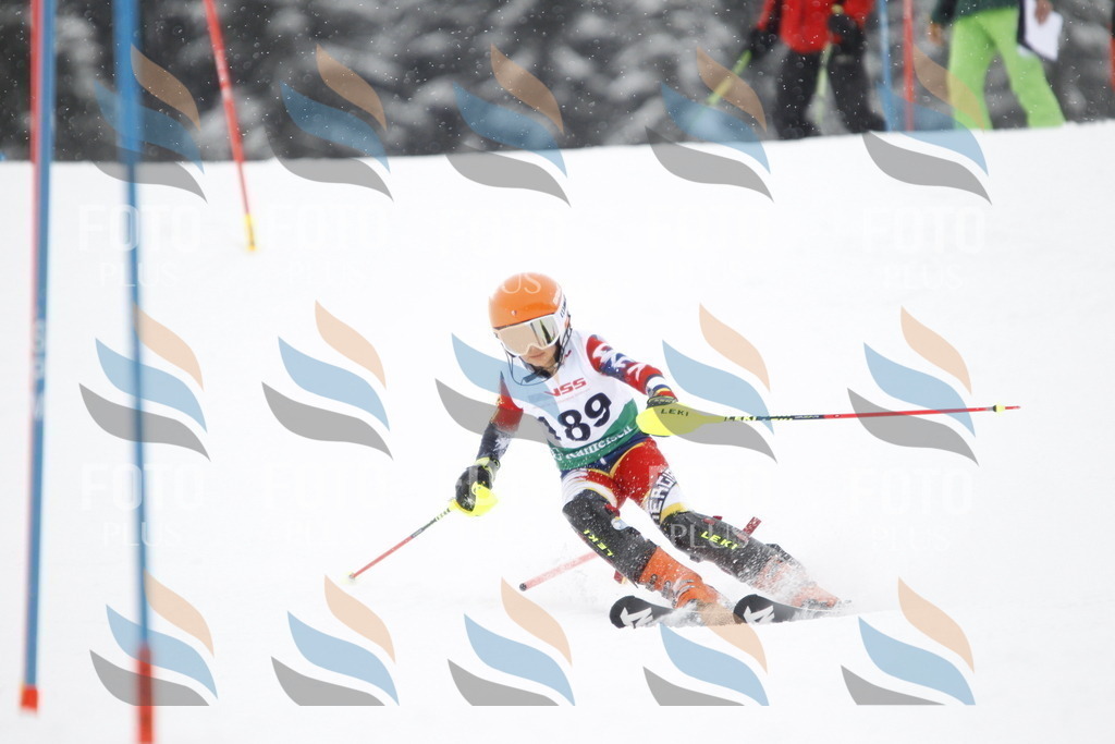 A2105 | holidayphoto