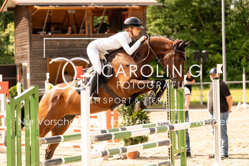 DSC02289 | Carolin Gieschke