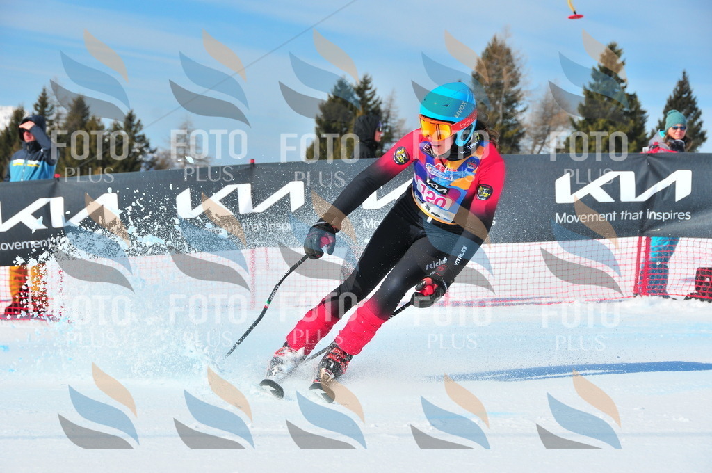 DSC_4772 | holidayphoto