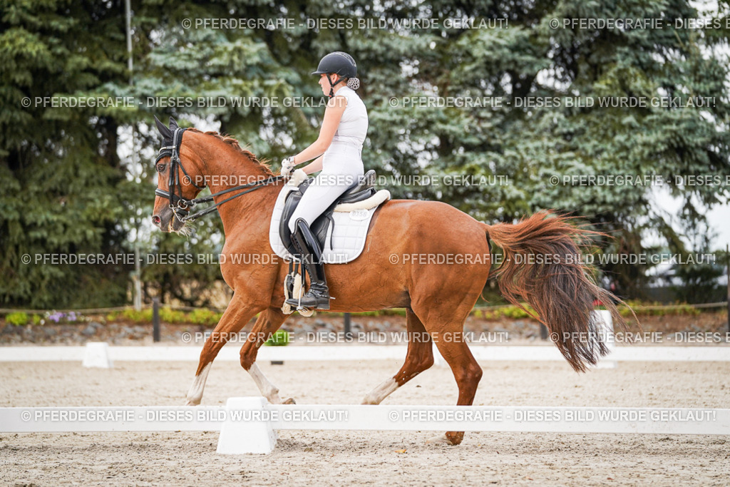 DSC08606 | Pferdegrafie