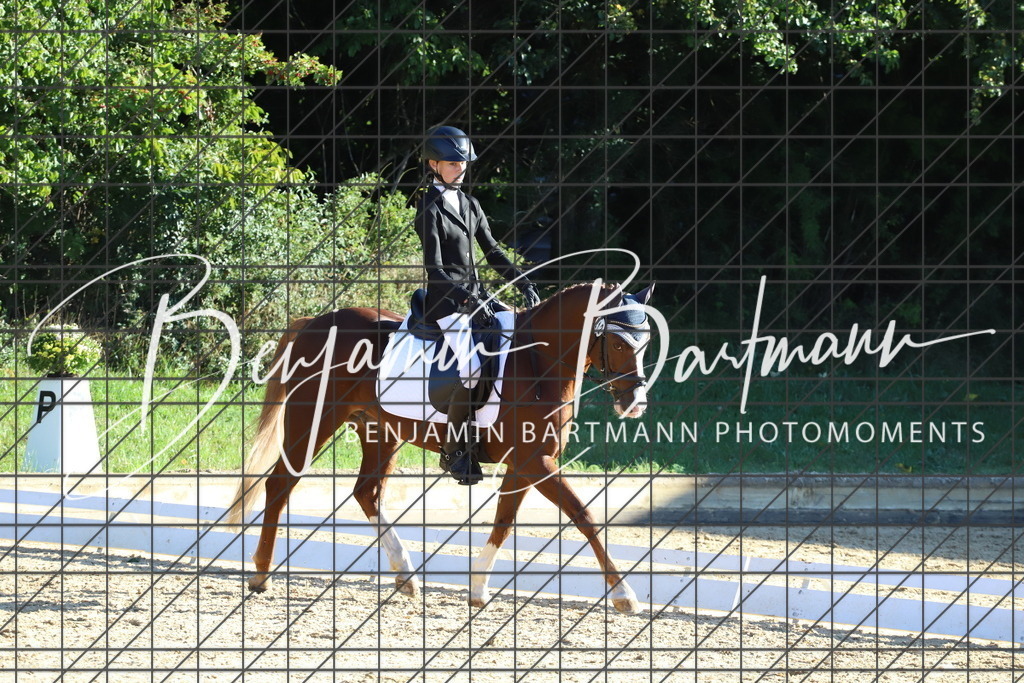 IMG_4735 | Benjamin Bartmann Photomoments