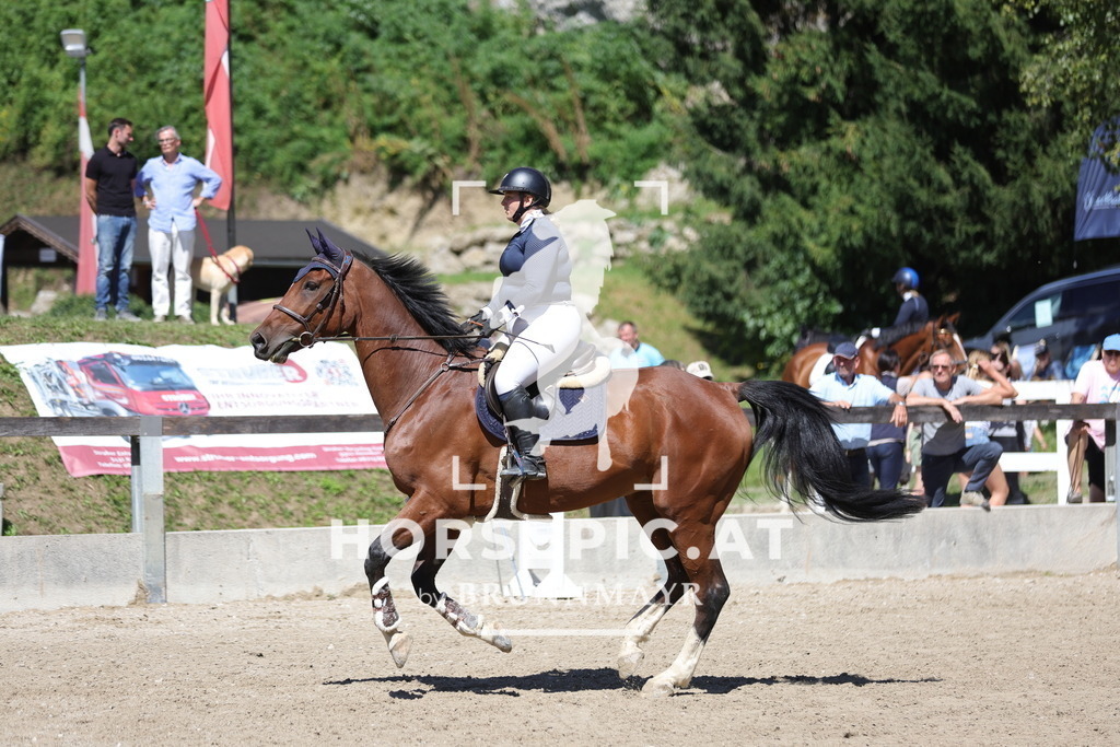 0P6A6325 | Willkommen bei Brunnmayr - Design & Fotografie – Ihrem Spezialisten für Reitturniere und Pferdeveranstaltungen in Oberösterreich, Salzburg und Bayern! Seit über 17 Jahren sind wir leidenschaftlich dabei.