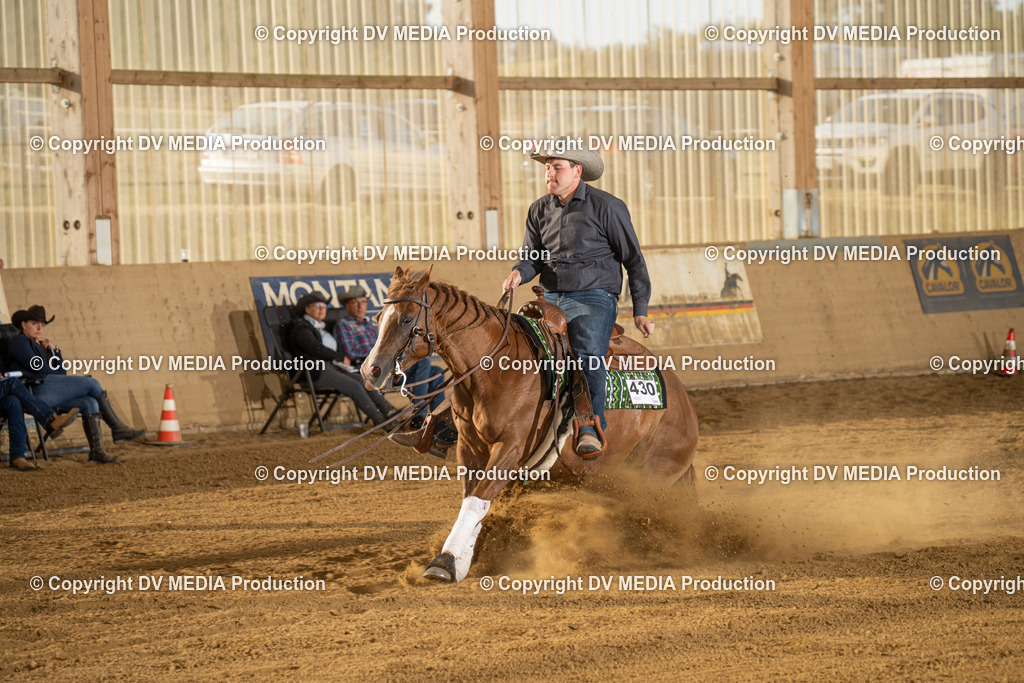 LAU01966 | dv-media-shop - Realisiert mit Pictrs.com