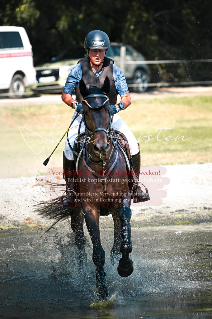 DSC_8501 | Pferde- und Turnierfotografie in Westsachsen. Pferdeportraits, Auftragszeichnungen und intuitive Kunst.