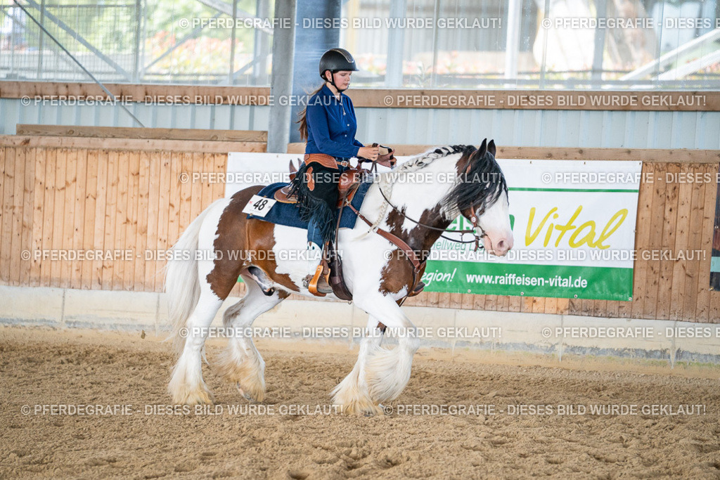 DSC02990 | Pferdegrafie