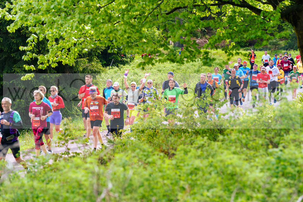 Rennsteiglauf Marathon 2025 | Marathon von Neuhaus/Rwg. nach Schmiedefeld/Rstg. am 17. Mai 2025