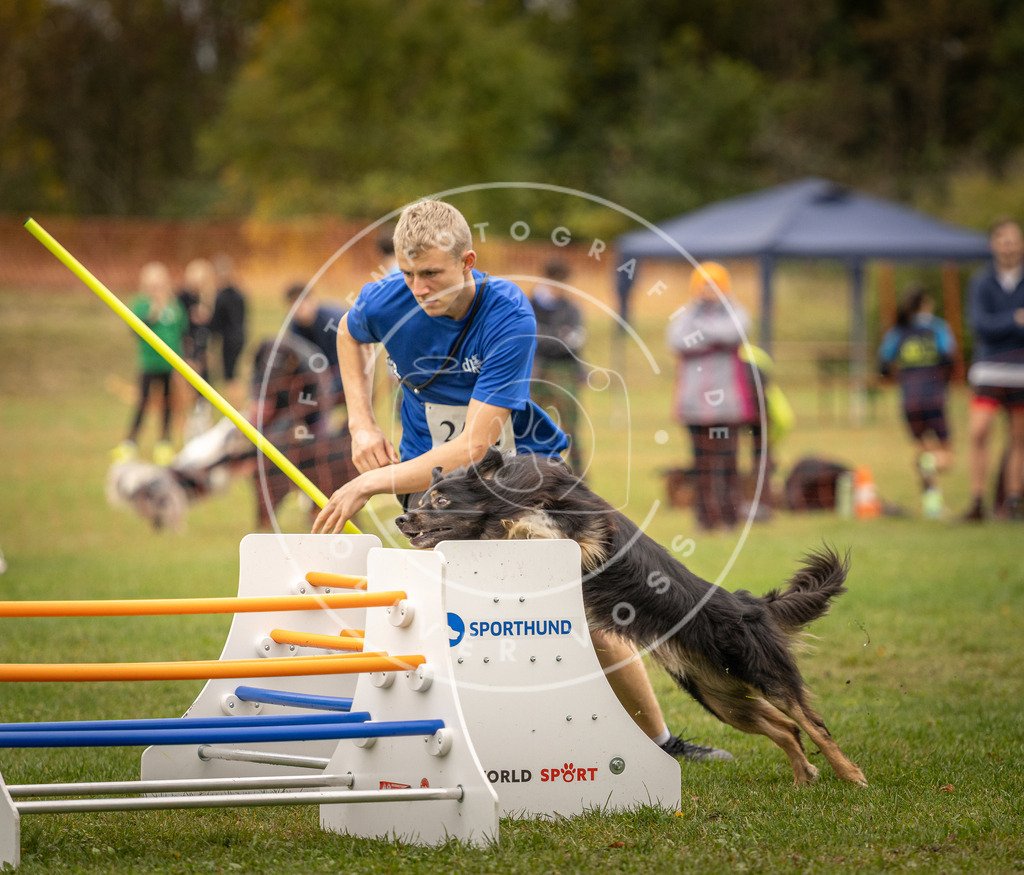 Pfotenfotografie_DV3A6157 | Hundefotografie, Tierfotograf, Pfotenfotografie, Fotoshooting Hund, Hunde Portrait, Hundesport, Hundeportraits, Heideshooting, Hunde, Sportfotograf, Hundefotograf, Turnierhundsport, THS,  - Realisiert mit Pictrs.com