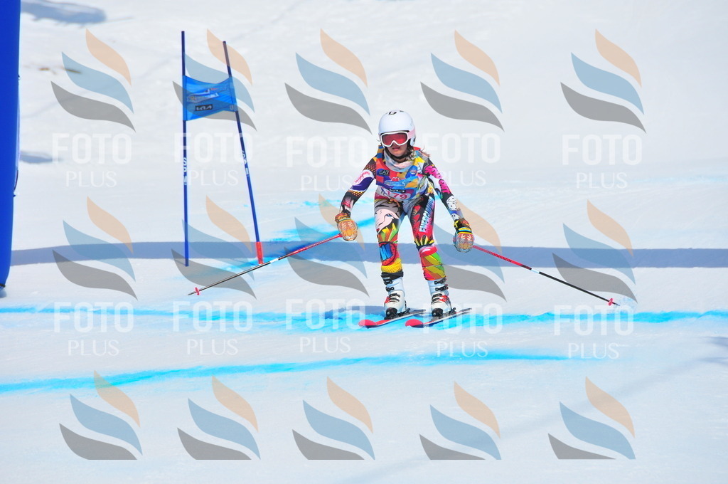 DSC_5344 | holidayphoto