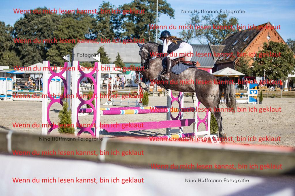 BK1A7756 | Turnierbilder Turnierfotos Nina Hüffmann Turnierfotografie Pferdefotografie Tierzeichnung Haustierzeichnung Pferdezeichnung Hundezeichnung Videograf  - Realisiert mit Pictrs.com