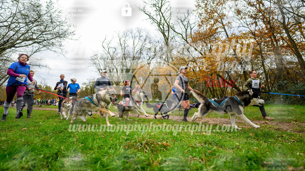 MompixPhotography_Bischwiller24_DI_CoursedeRelais-5 | PayLife