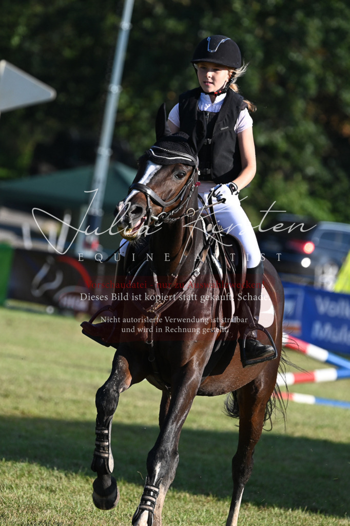 DSC_4679 | Pferde- und Turnierfotografie in Westsachsen. Pferdeportraits, Auftragszeichnungen und intuitive Kunst.