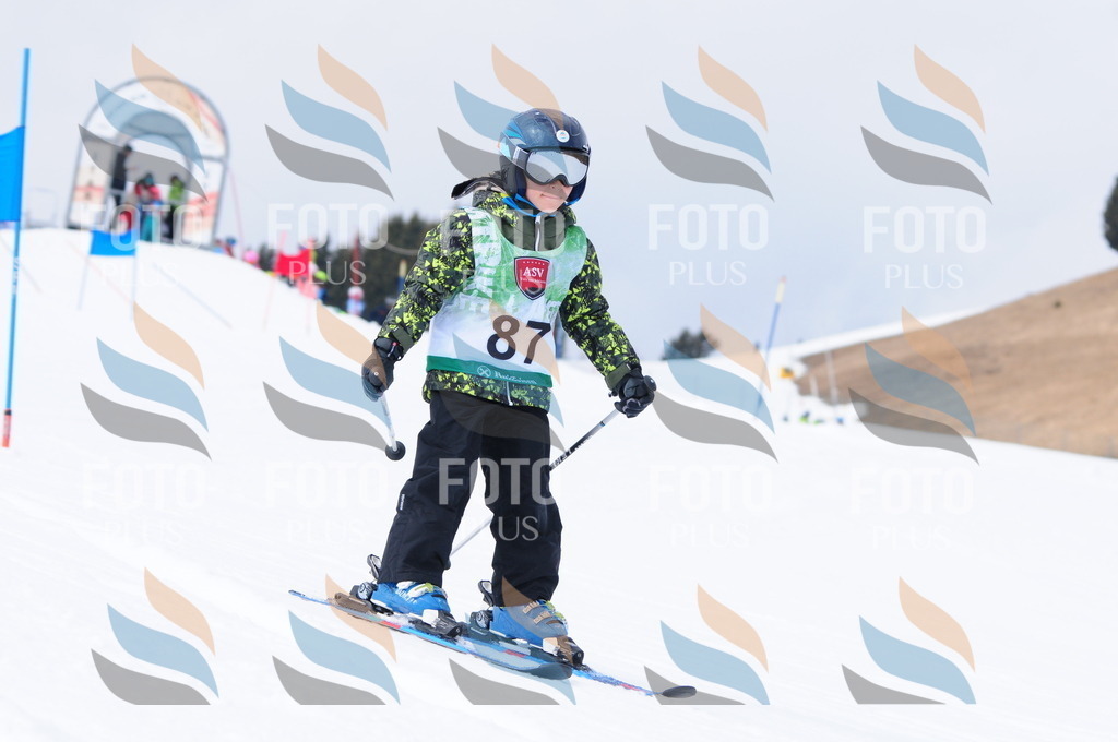 A3767 | holidayphoto