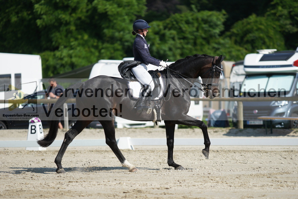 DSC02429 | equestrian-live-com