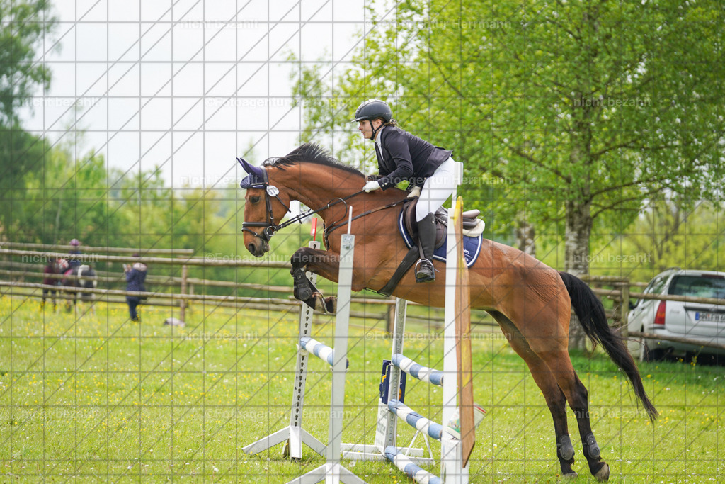 20230520-FAH05195 | Frühjahrsturnier, Landsberg am Lech, 2023, Reitclub Landsberg, Turnierbilder, Fotos Turnier Landsberg, Fotoagentur Herrmann, Turnierfotografen Bayern, Reitsport Fotograf, Pferde Fotograf