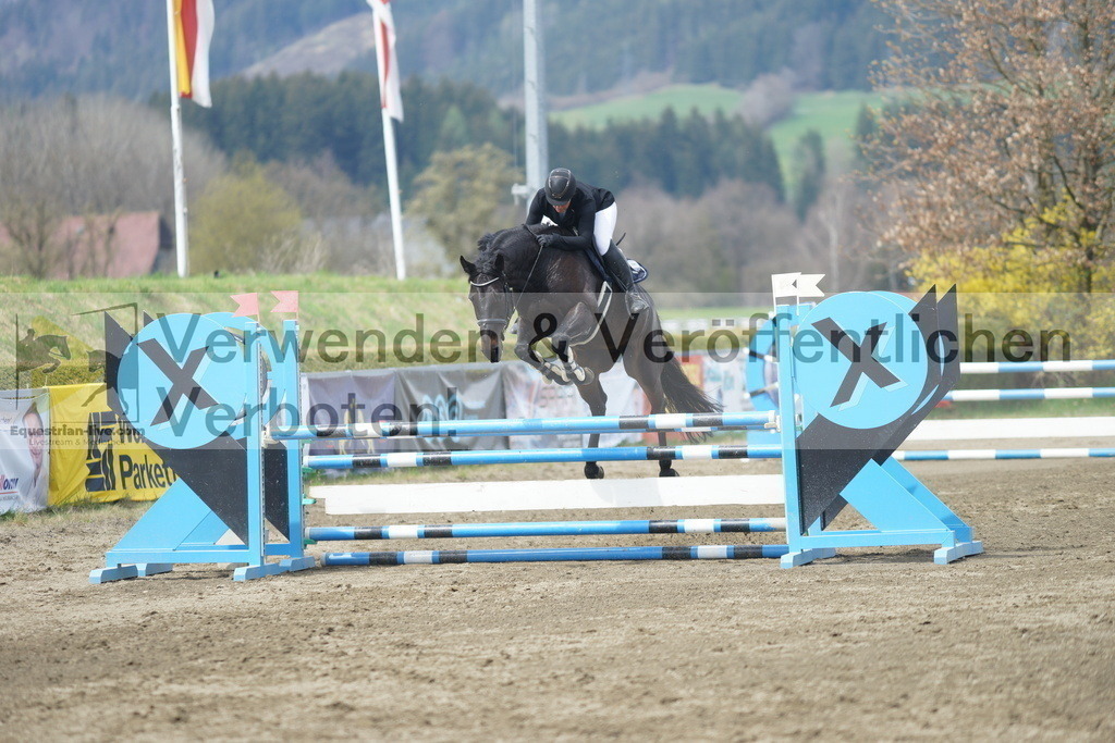 DSC04293 | equestrian-live-com