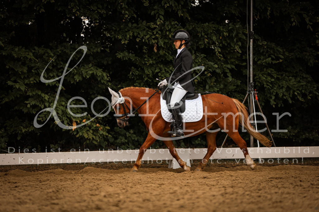 DoDrWB00213 | Leoni Ertmer Photography - Realisiert mit Pictrs.com