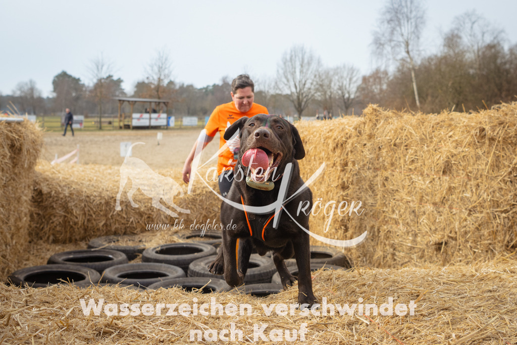 1051_ZZ90377 | kk-dogfotos