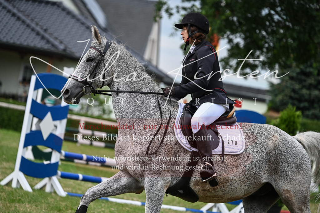 DSC_8329 | Pferde- und Turnierfotografie in Westsachsen. Pferdeportraits, Auftragszeichnungen und intuitive Kunst.