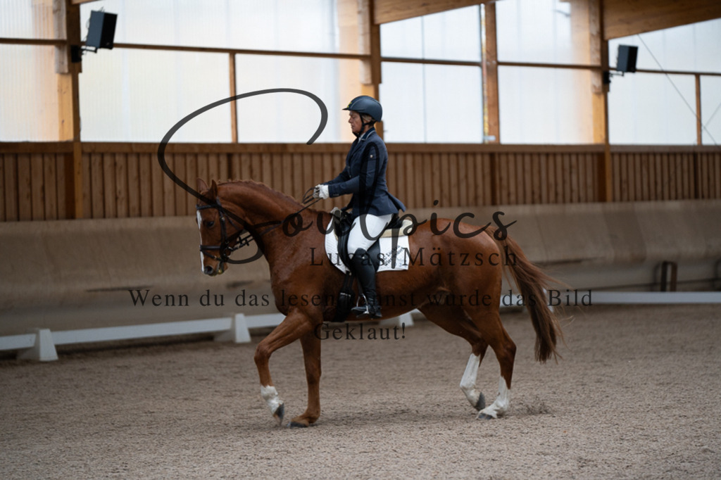 A7V02244 | Pferdefotograf