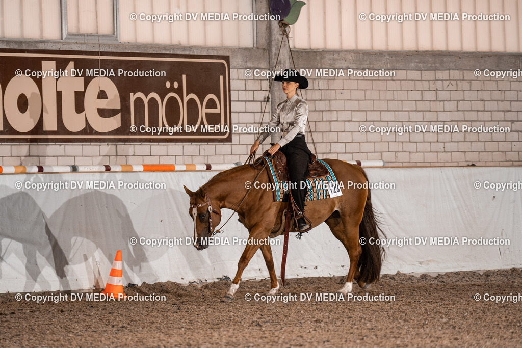 ZH100020 | dv-media-shop - Realisiert mit Pictrs.com