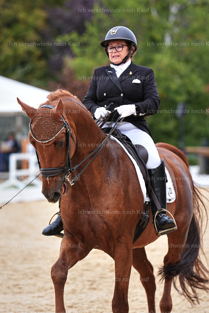 11-023-Dressur S___-Marixx-1682 | working equitationturnier fotograf videograf stoibphotography marixx film working equitation deutschland reitsport turnierfotografie eventfotografie equestrian events