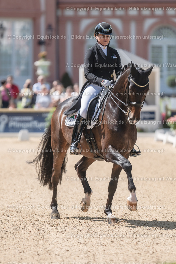 20230528_03_GP-Special-Tour_0077 | equistock
