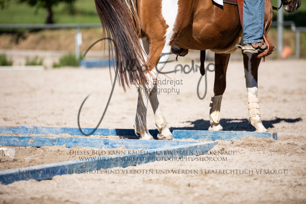 20220703-JuliaEndrejatPhotography-0271 | Julia Endrejat Photography