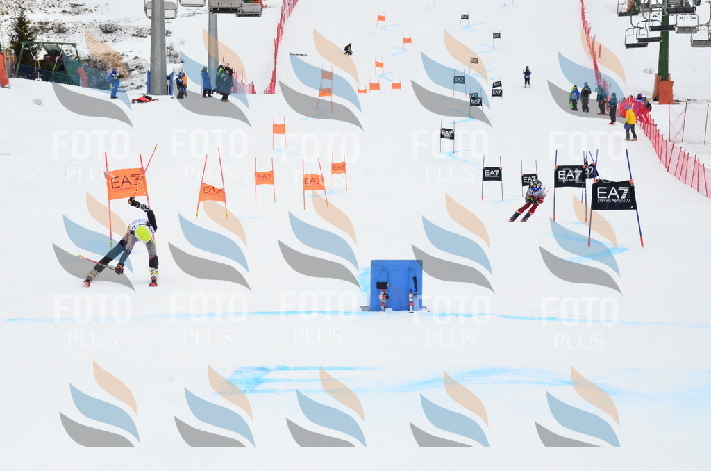 _ELE3918 | holidayphoto