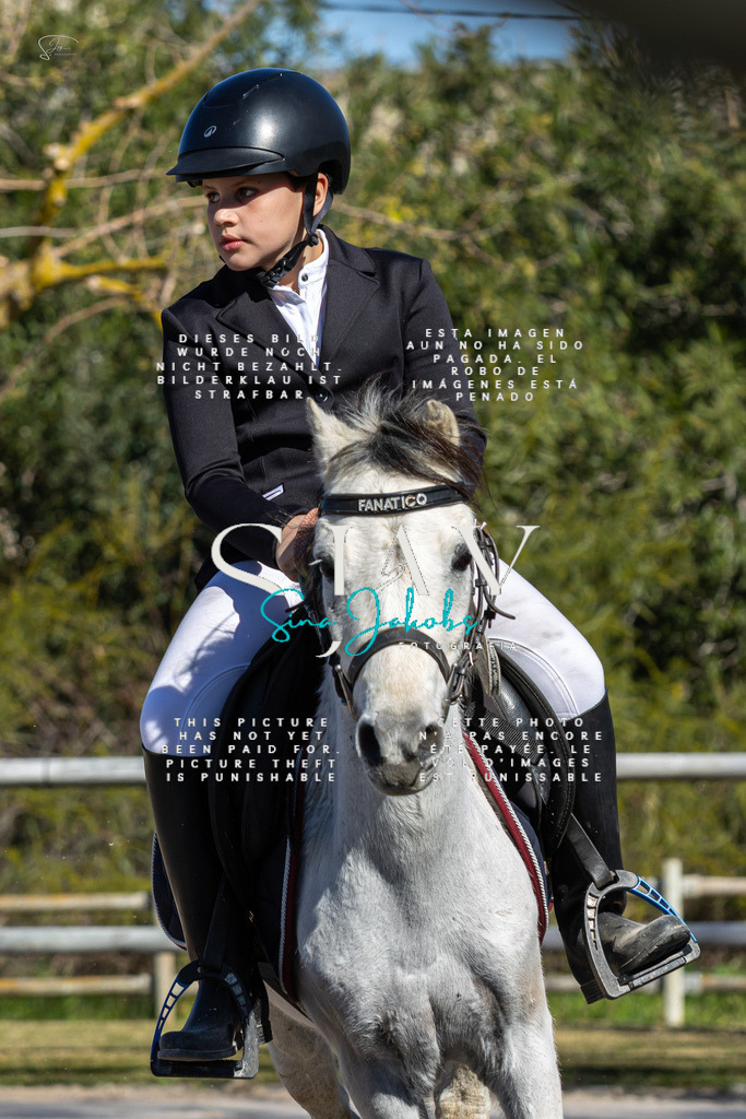 IMG_8706 | s-jay-photography - Realisiert mit Pictrs.com