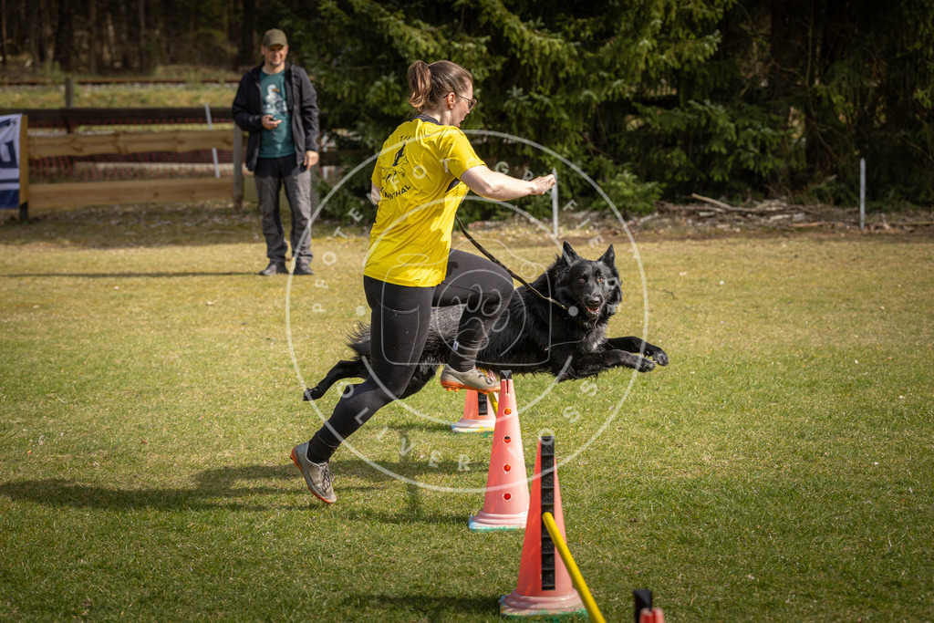 Pfotenfotografie_DV3A9563 | Hundefotografie, Tierfotograf, Pfotenfotografie, Fotoshooting Hund, Hunde Portrait, Hundesport, Hundeportraits, Heideshooting, Hunde, Sportfotograf, Hundefotograf, Turnierhundsport, THS,  - Realisiert mit Pictrs.com