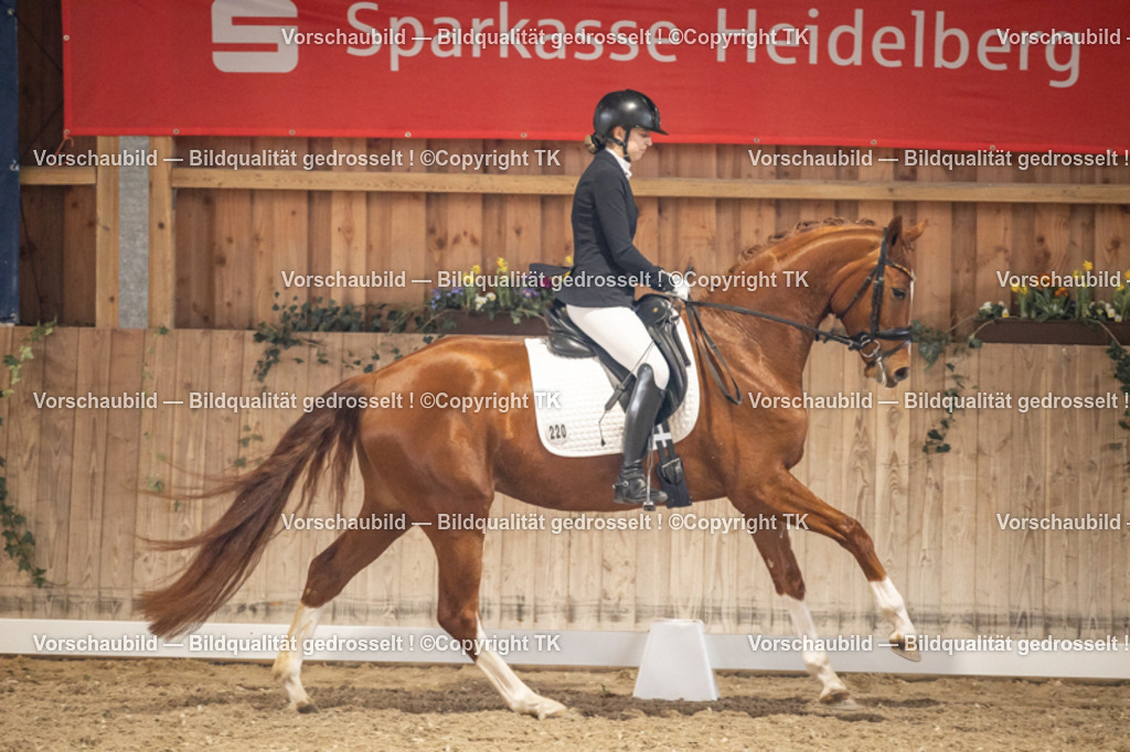 _D5A8617 | Emotionale Pferde- & People-Fotografie rund um Heidelberg, Leimen & Umgebung. Natürliche Fotos von Pferd, Mensch & Familie. Jetzt Termin sichern!