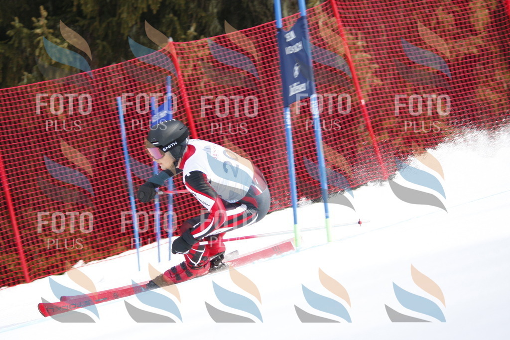 D8111 | holidayphoto