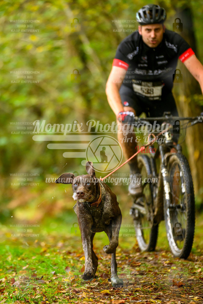 MompixPhotography_20TSB_E1_Doppel-8 | PayLife