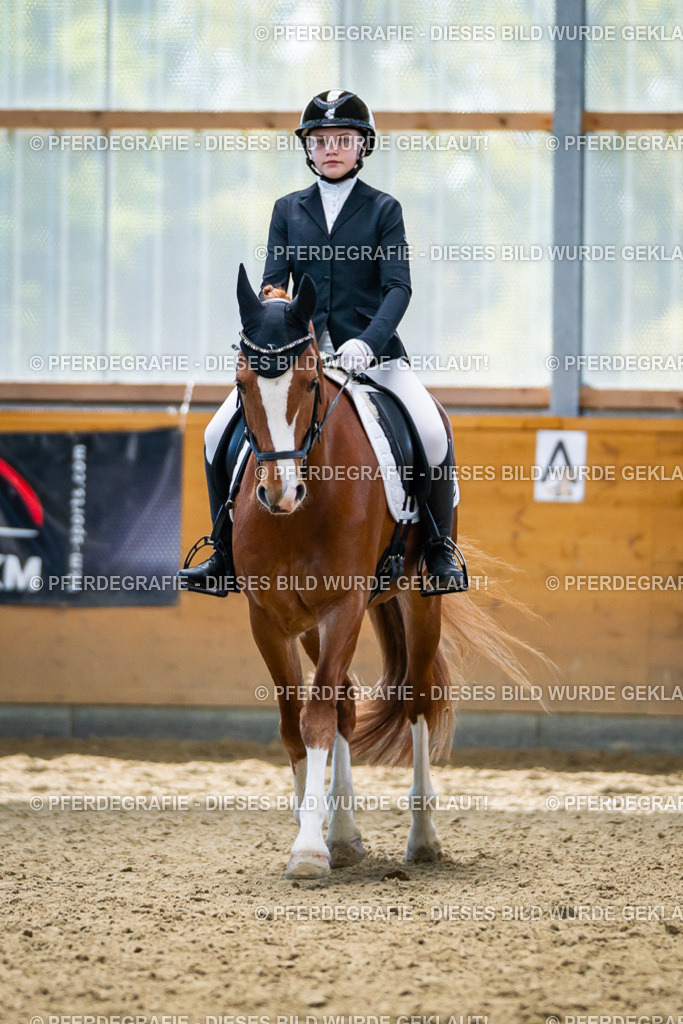 DSC05314 | Pferdegrafie