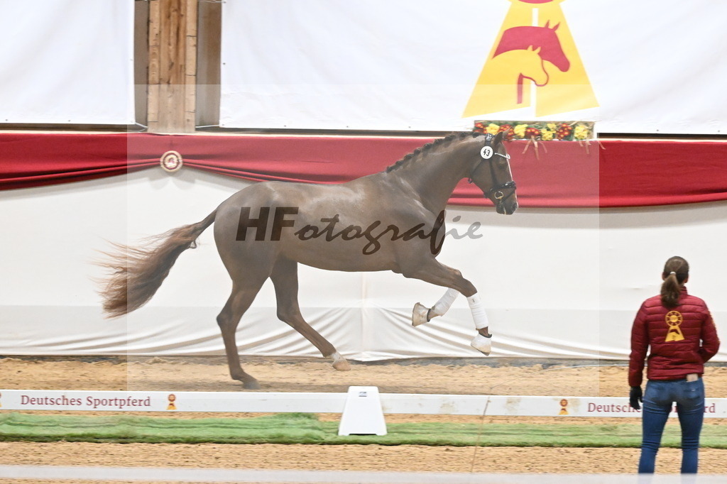 Kat.-Nr. 43 v. Dutch Dream_Ottmann_3260148 | hf-fotografie - Realisiert mit Pictrs.com