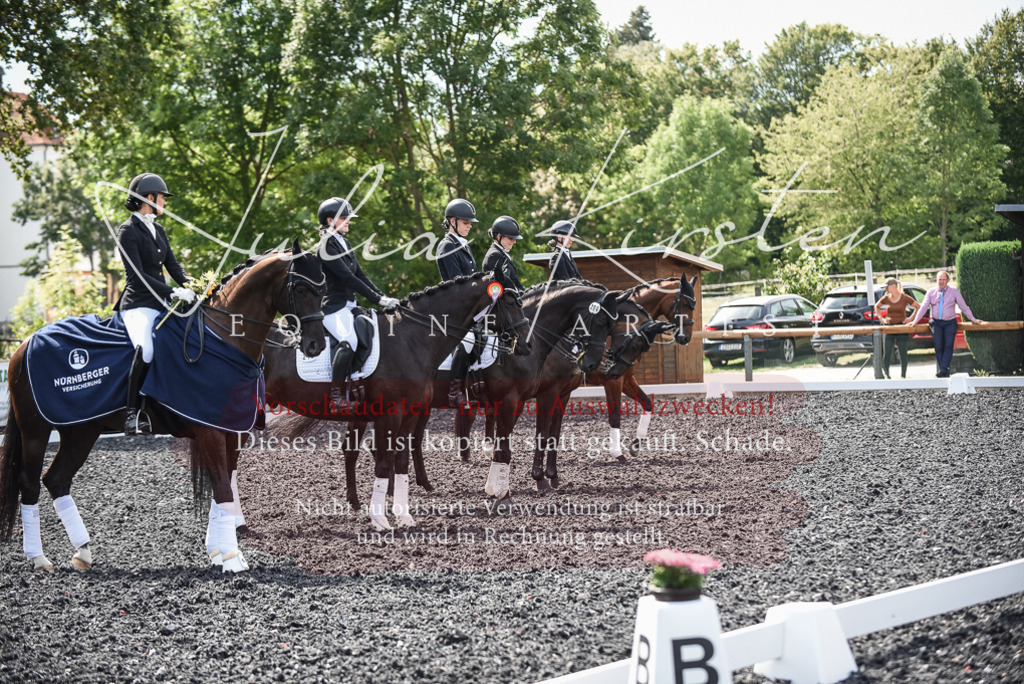 DSC_5161 | Pferde- und Turnierfotografie in Westsachsen. Pferdeportraits, Auftragszeichnungen und intuitive Kunst.