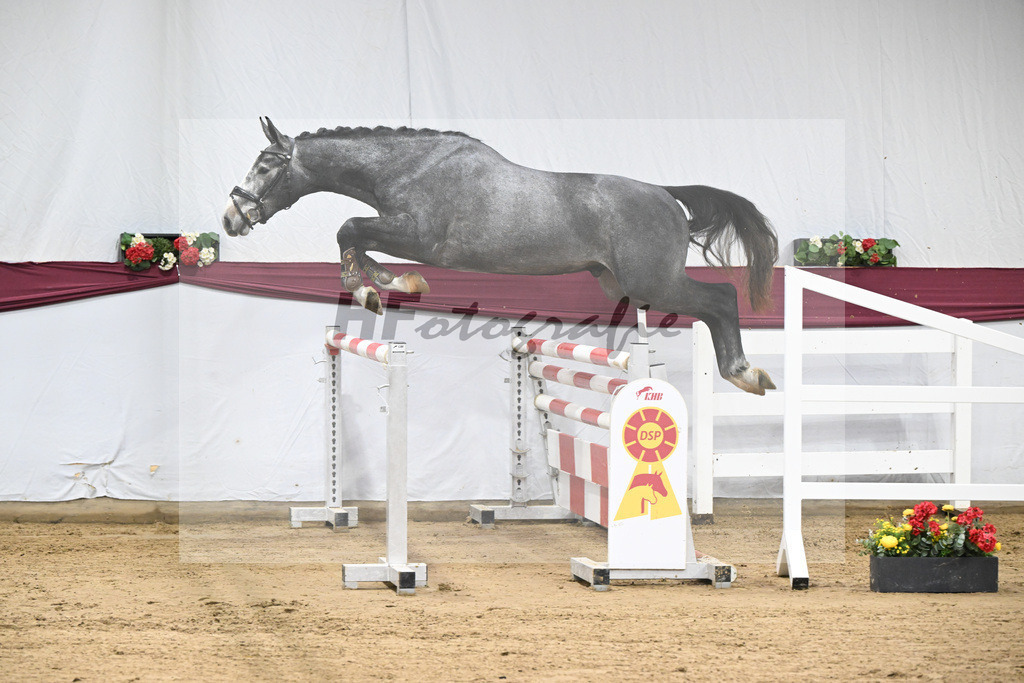 Kat-Nr. 97 Diamant De Semilly - Untouchable_Marian Mueller u Dr. Brigitte Seemann_47253173 | hf-fotografie - Realisiert mit Pictrs.com