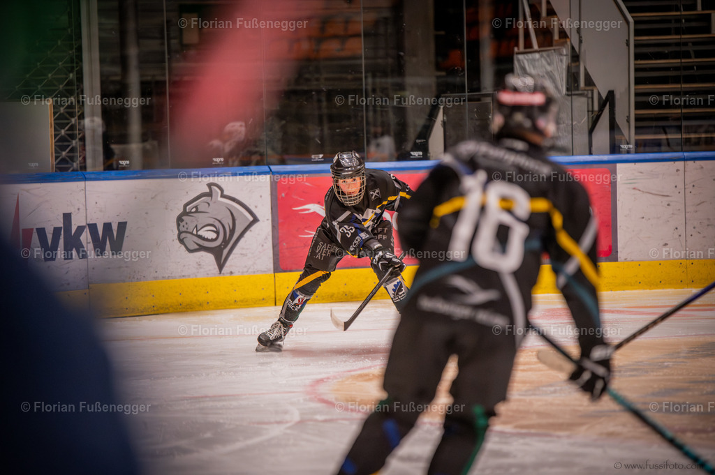 DSC_5046 | "Fussifoto.com – Ihr Ansprechpartner für hochwertige Fotografie! Entdecken Sie kreative Bilder und professionelle Dienstleistungen. Kontaktieren Sie uns für Ihre Projekte!"