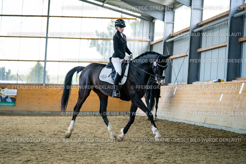 DSC05805 | Pferdegrafie