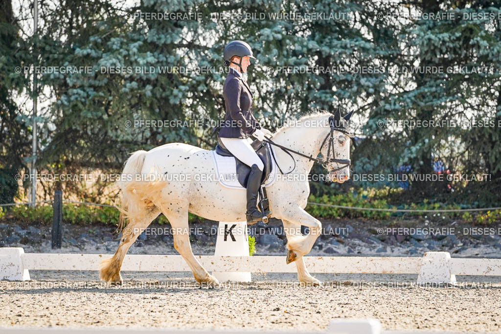 DSC09420 | Pferdegrafie